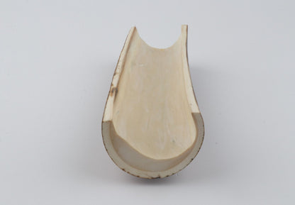 Natural woolly mammoth bark