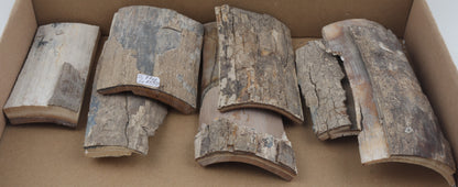 Raw mammoth bark pieces