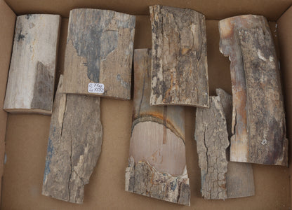 Raw mammoth bark pieces