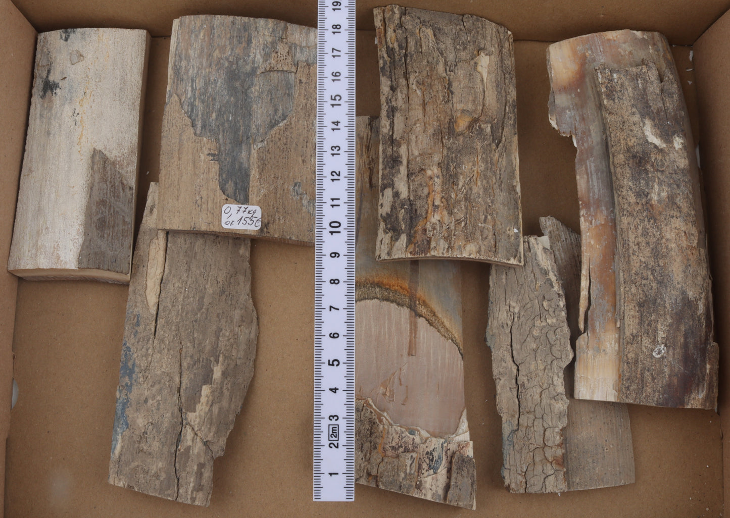 Raw mammoth bark pieces