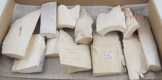 White mammoth ivory pieces