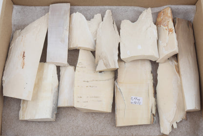 White mammoth ivory pieces