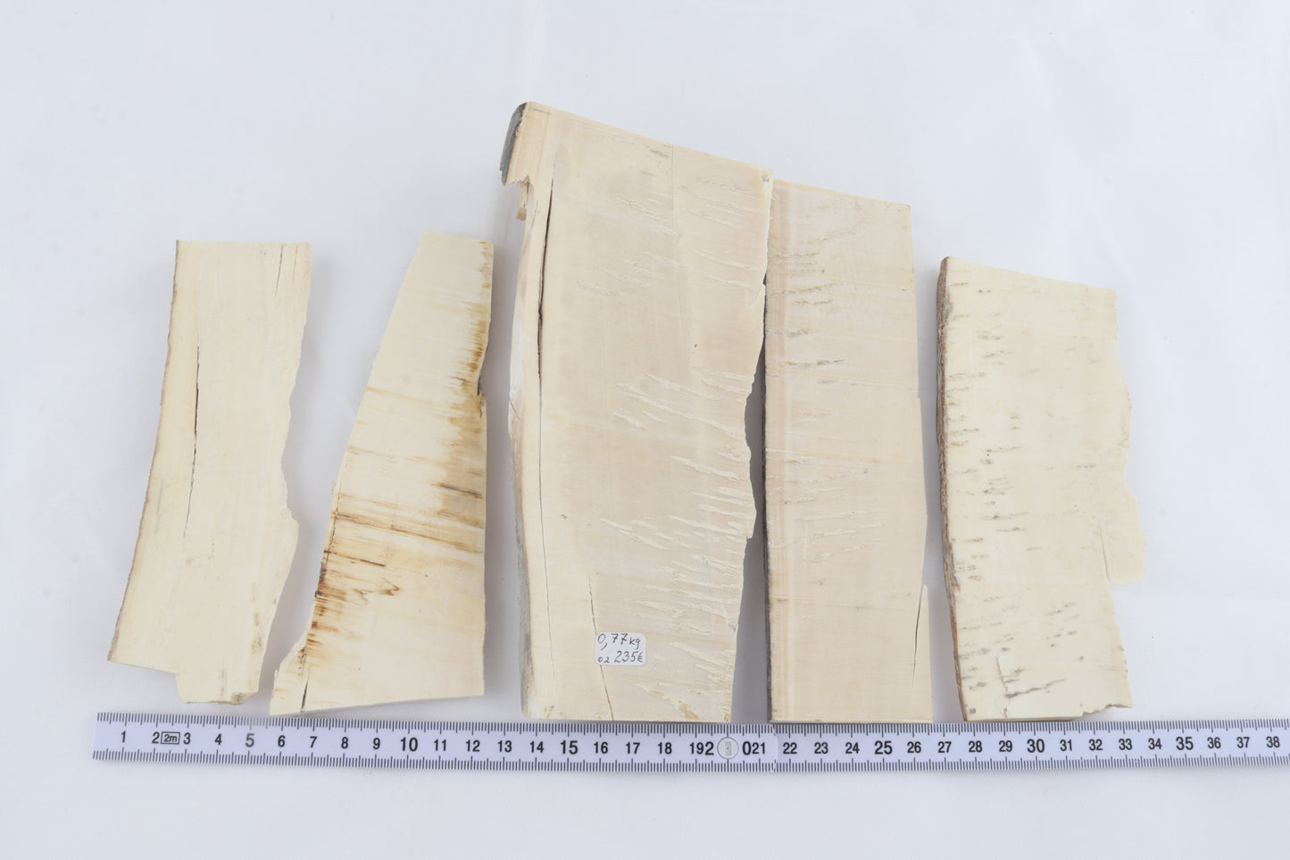 Raw mammoth ivory pieces