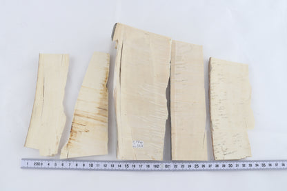 Raw mammoth ivory pieces