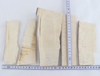 Raw mammoth ivory pieces