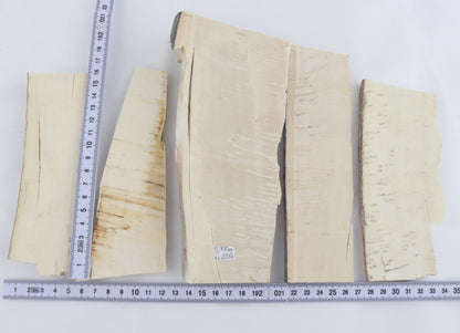 Raw mammoth ivory pieces