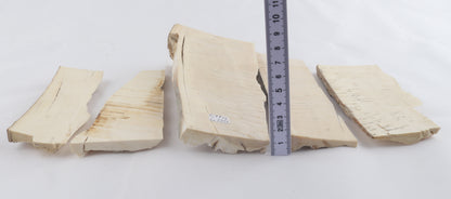 Raw mammoth ivory pieces
