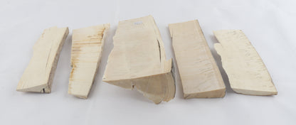 Raw mammoth ivory pieces