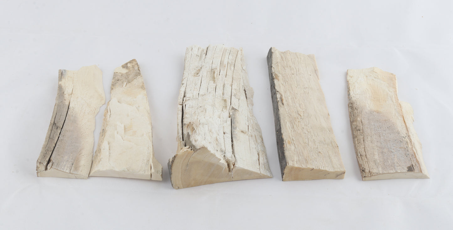 Raw mammoth ivory pieces