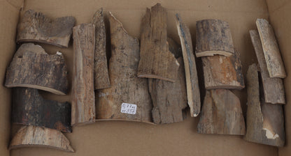 Raw mammoth bark pieces