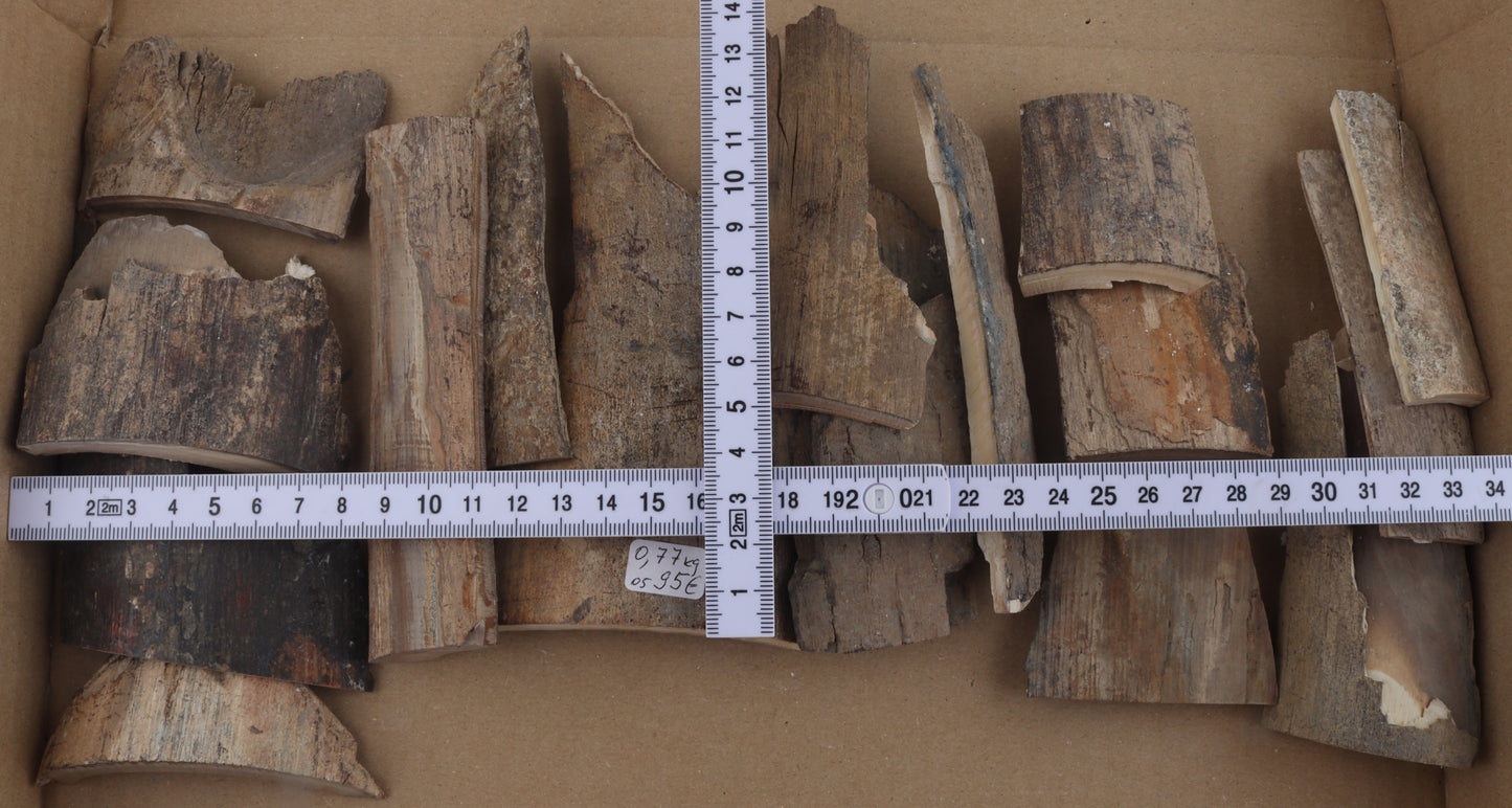 Raw mammoth bark pieces