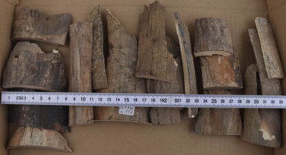 Raw mammoth bark pieces