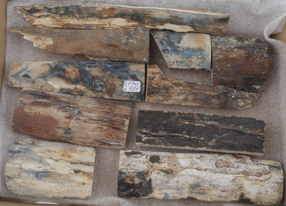 Raw mammoth bark pieces