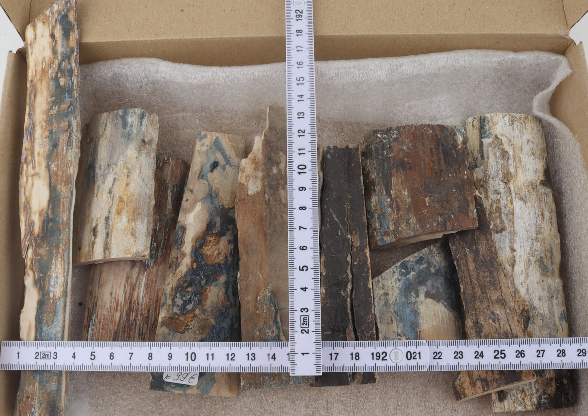 Raw mammoth bark pieces