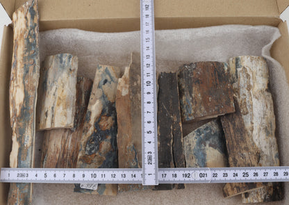 Raw mammoth bark pieces