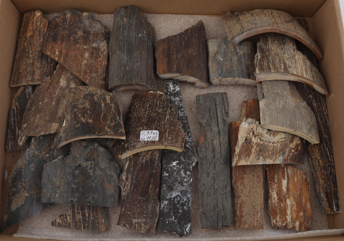Untreated mammoth bark pieces