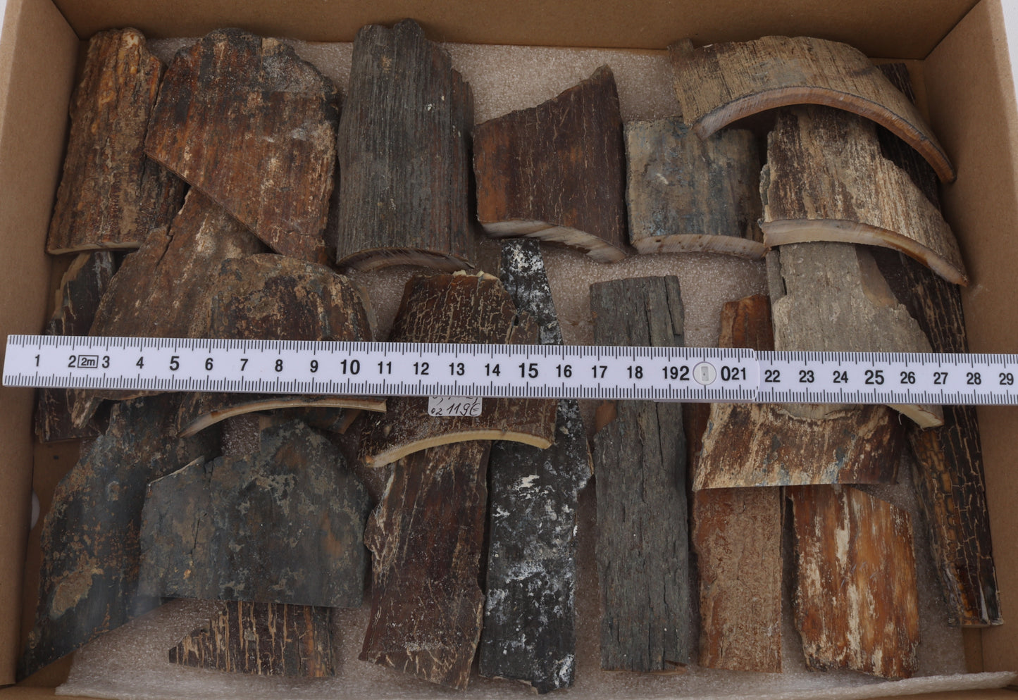 Untreated mammoth bark pieces