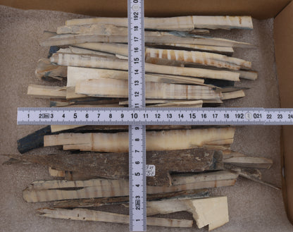 Raw mammoth ivory offcuts