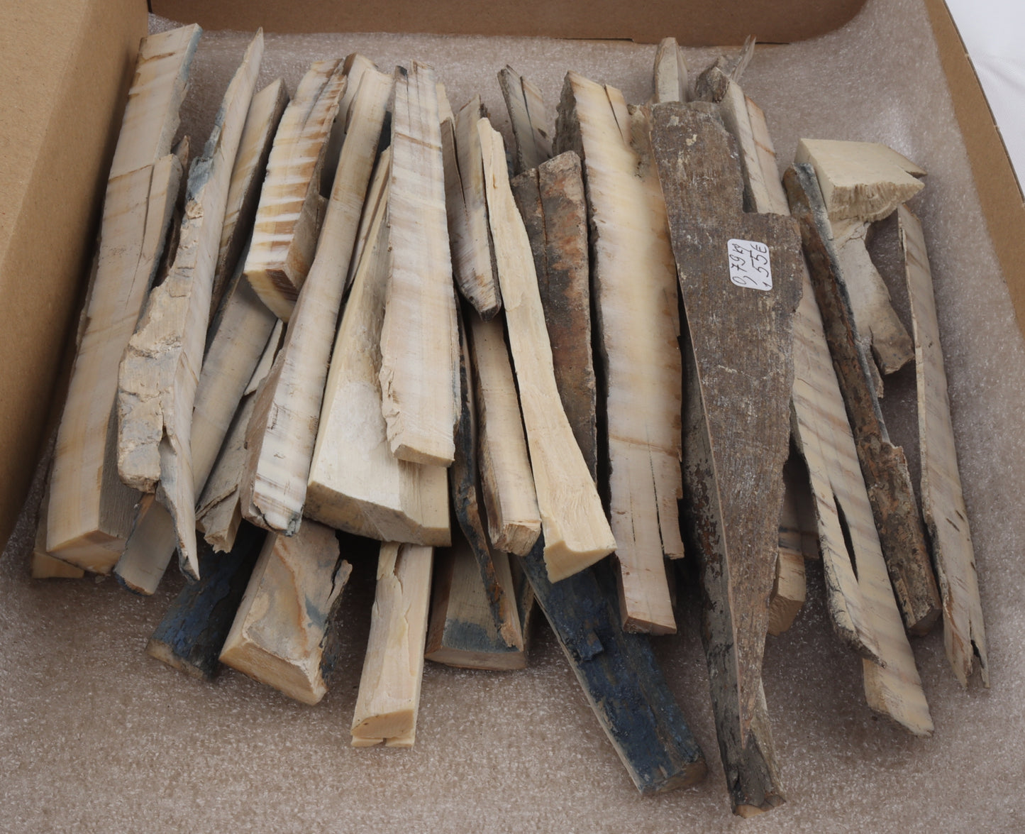 Raw mammoth ivory offcuts