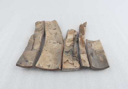 Raw mammoth bark pieces