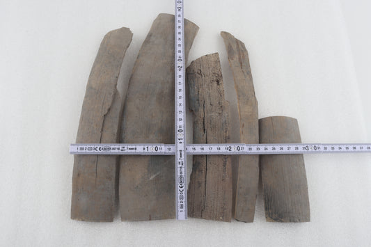 Raw mammoth bark pieces