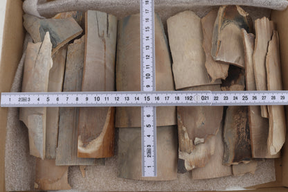 Raw mammoth ivory pieces
