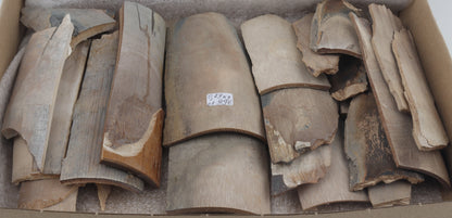 Raw mammoth ivory pieces