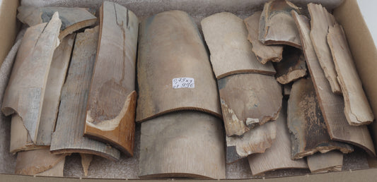 Raw mammoth ivory pieces