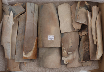 Raw mammoth ivory pieces