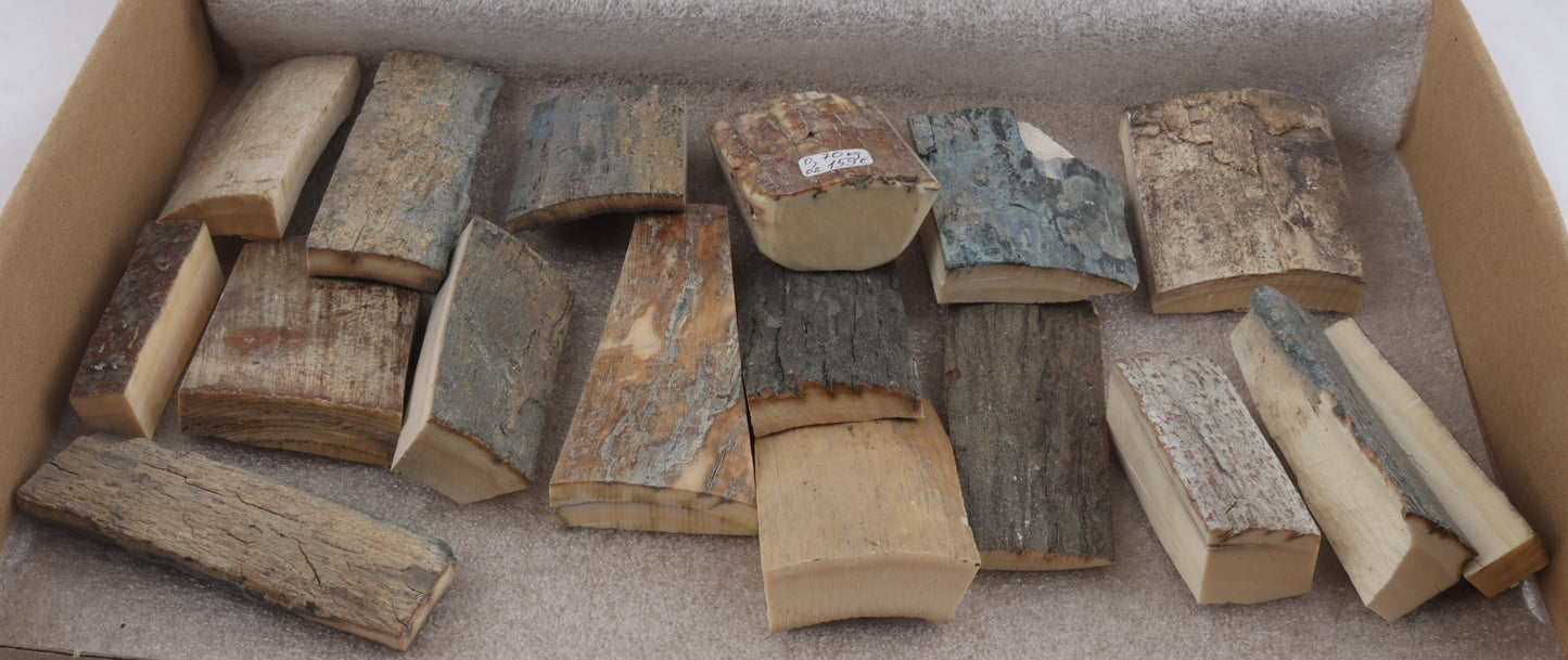 Untreated mammoth bark pieces