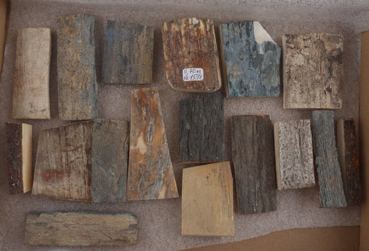 Untreated mammoth bark pieces