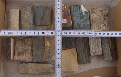 Untreated mammoth bark pieces