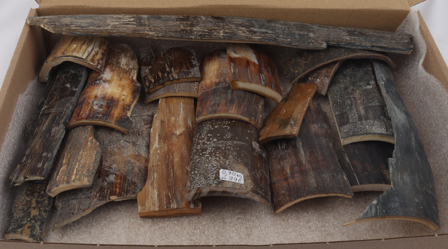 Natural mammoth bark pieces