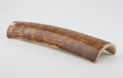 Brown mammoth bark