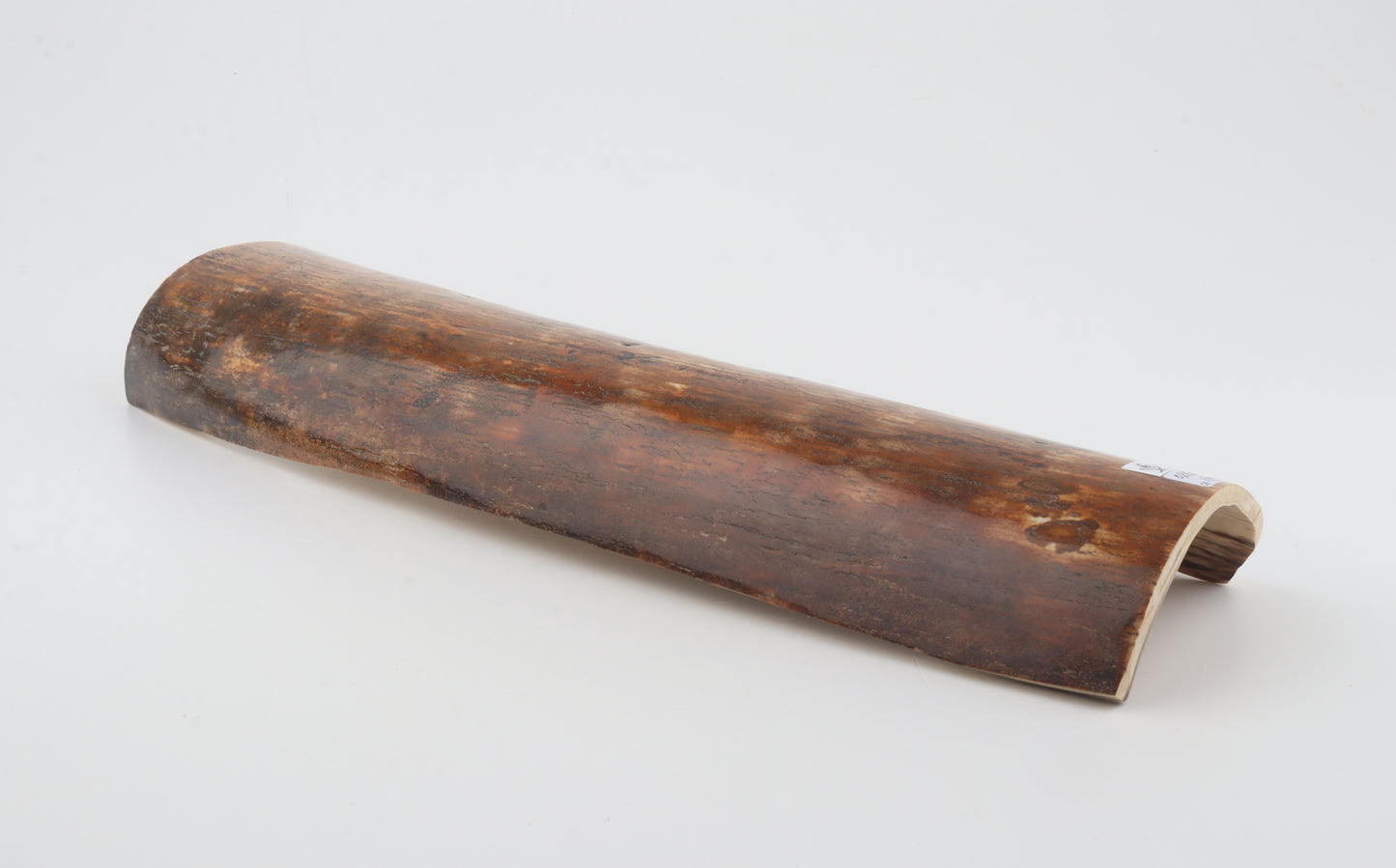 Brown mammoth bark