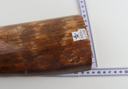 Brown mammoth bark