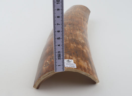 Brown mammoth bark
