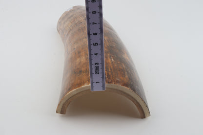 Brown mammoth bark