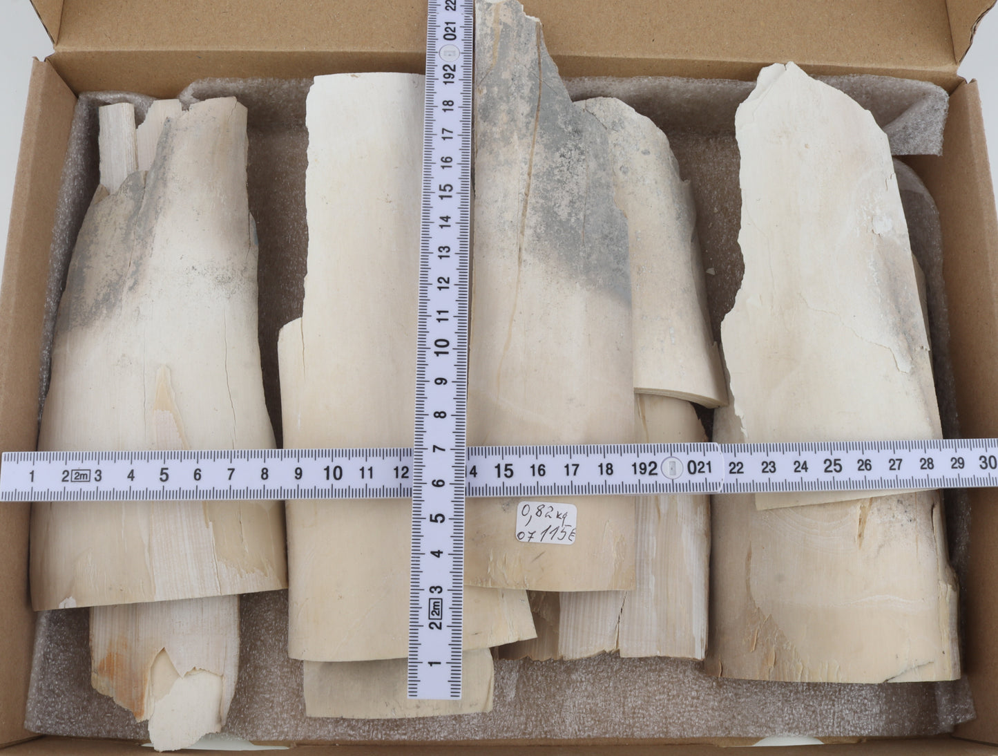 Raw mammoth ivory pieces