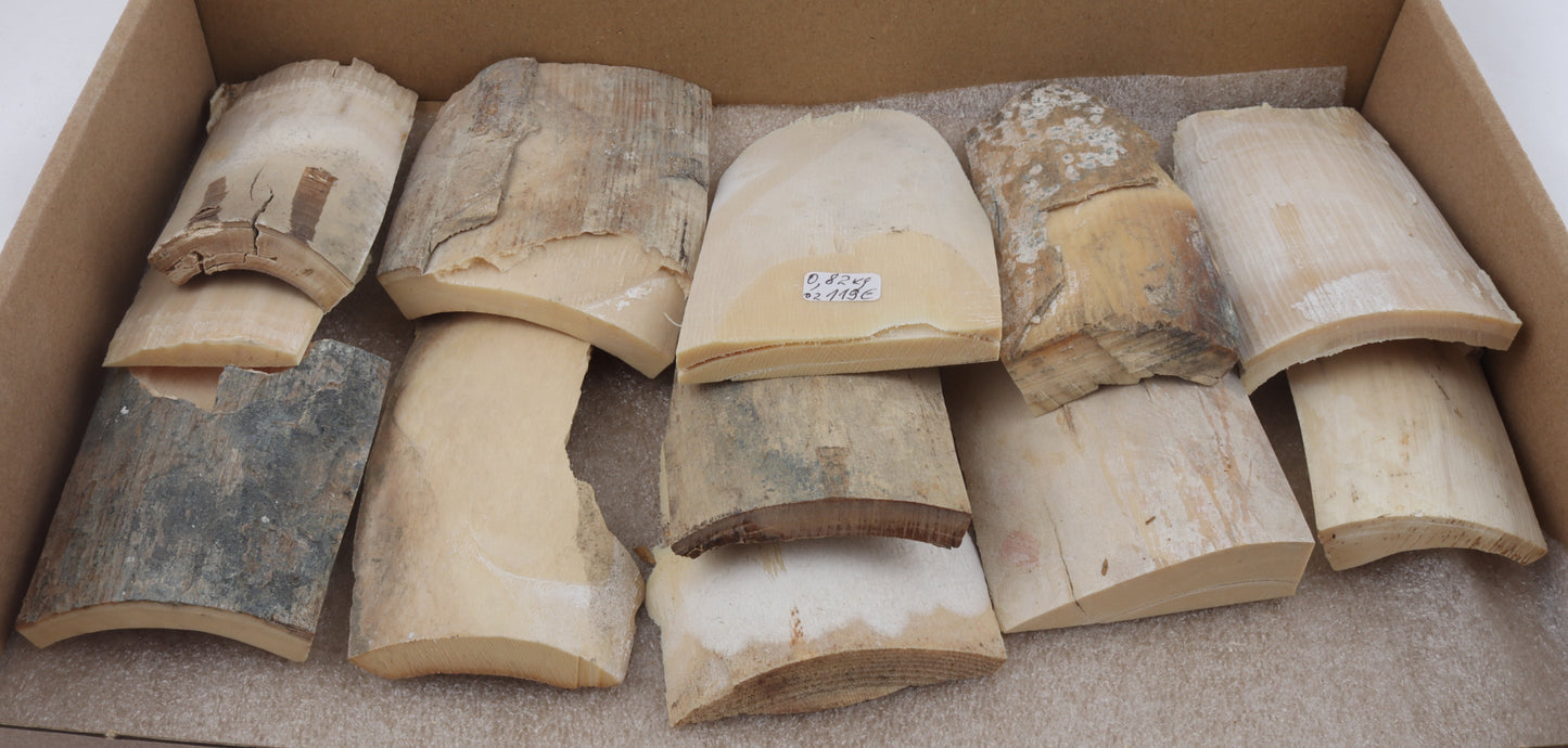 Raw mammoth ivory offcuts