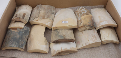 Raw mammoth ivory offcuts