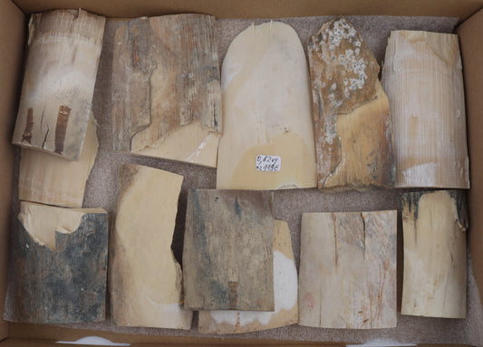 Raw mammoth ivory offcuts