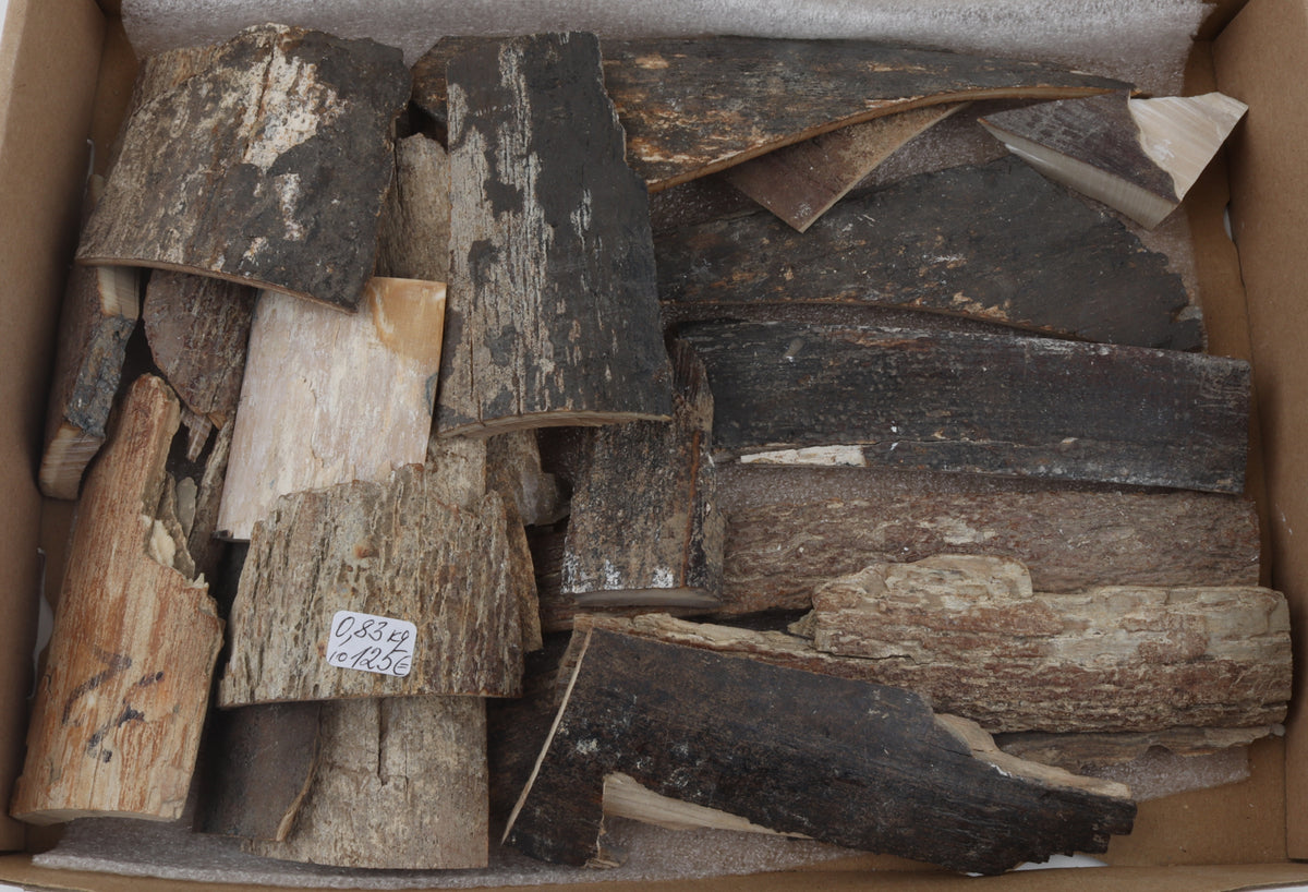 Raw mammoth bark offcuts