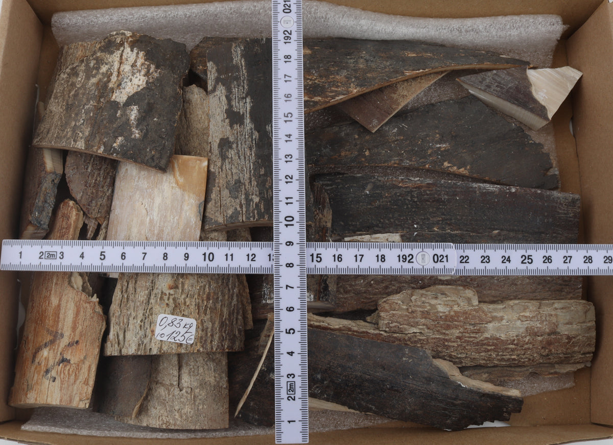 Raw mammoth bark offcuts