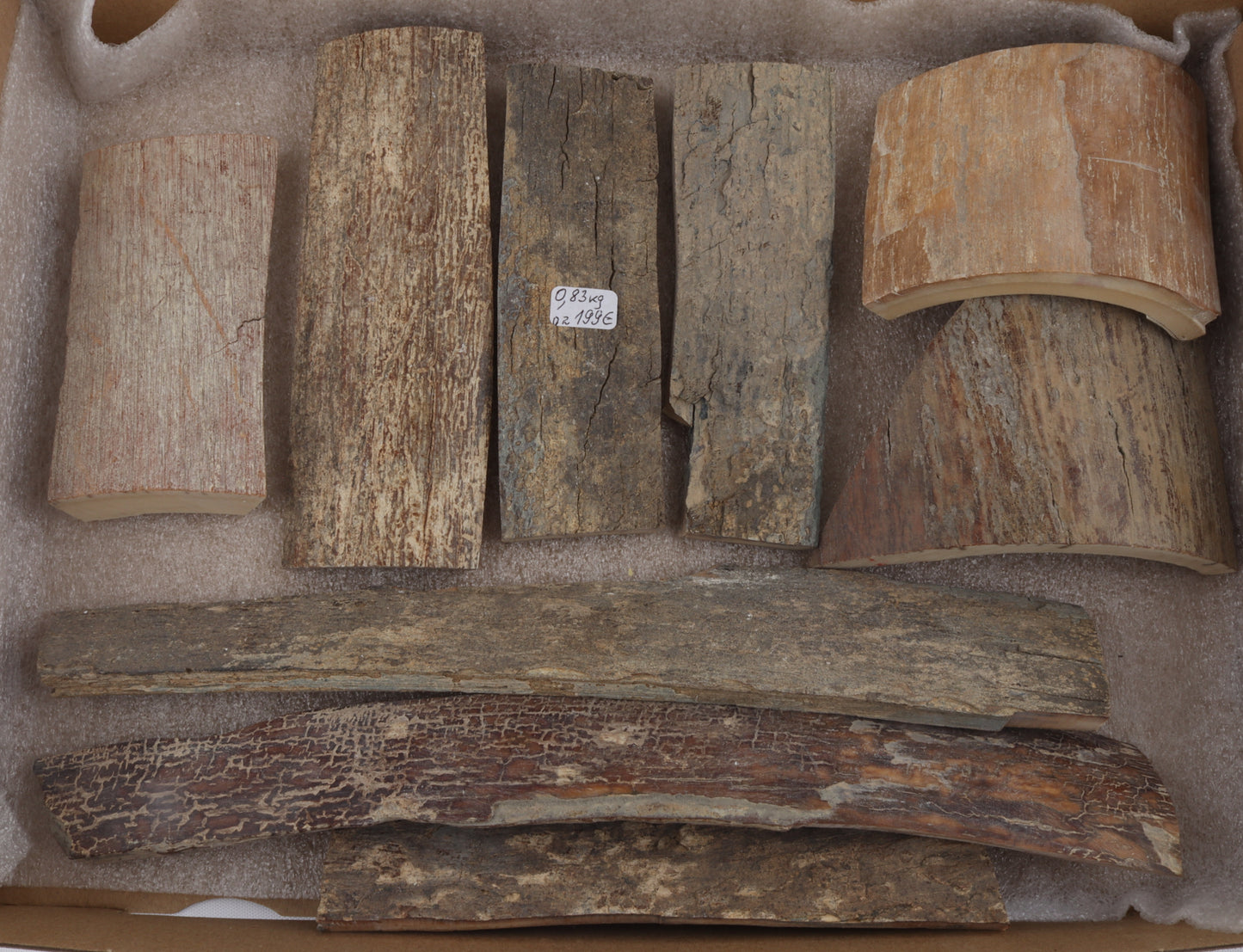 Untreated mammoth bark pieces