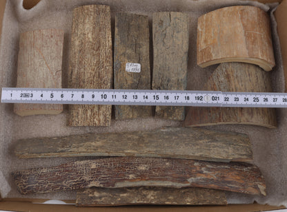 Untreated mammoth bark pieces