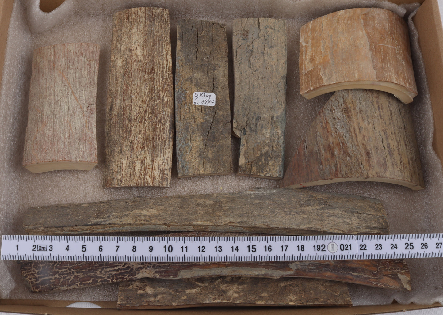 Untreated mammoth bark pieces