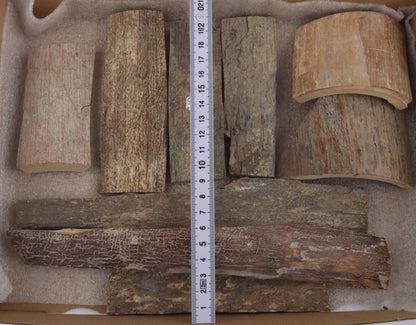 Untreated mammoth bark pieces