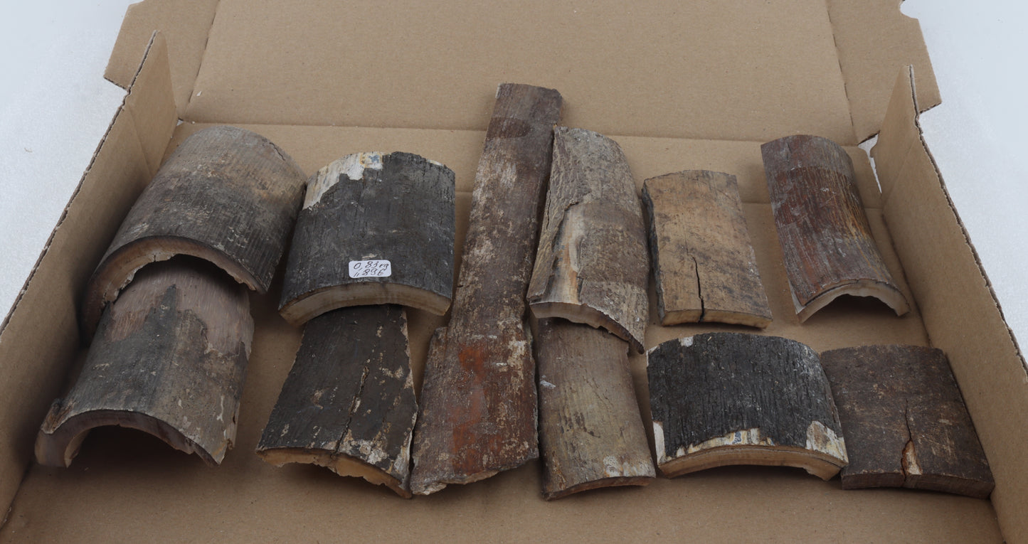 Raw mammoth bark pieces