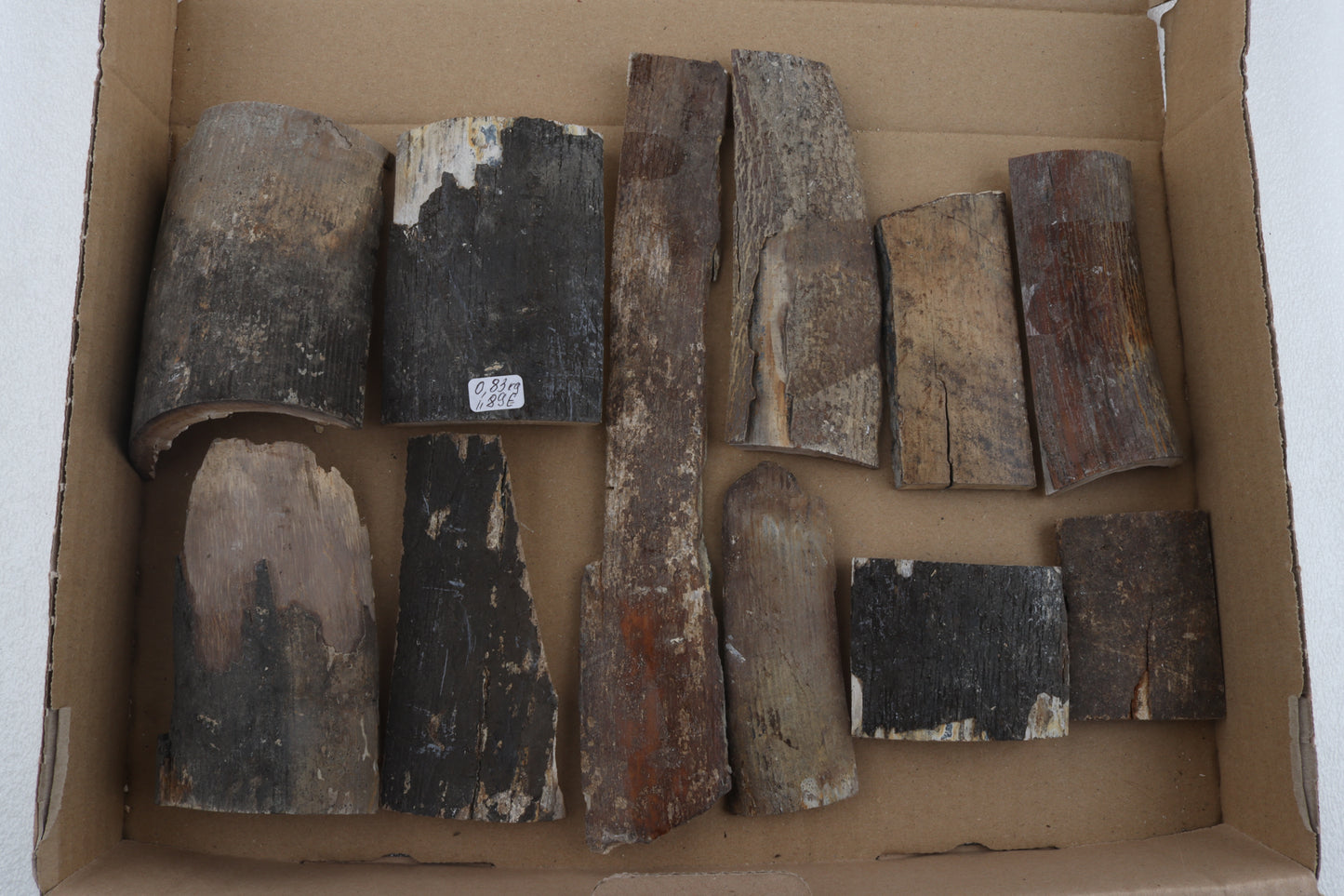 Raw mammoth bark pieces
